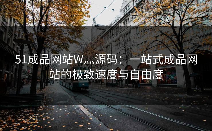 51成品网站W灬源码：一站式成品网站的极致速度与自由度