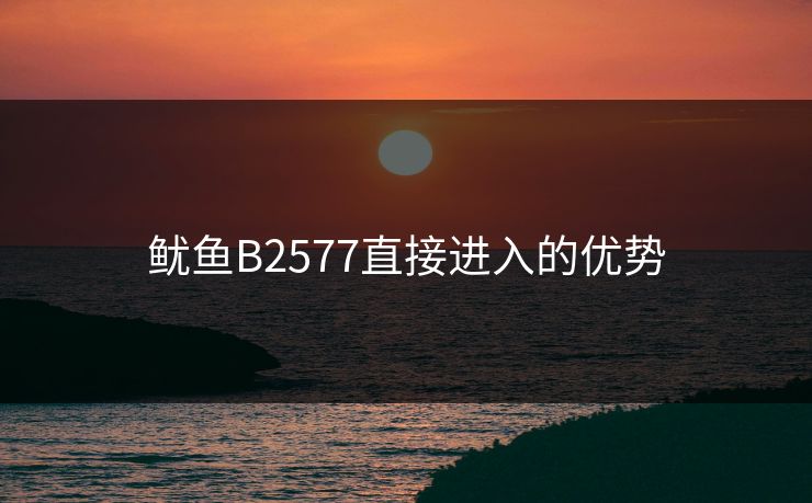 鱿鱼B2577直接进入的优势