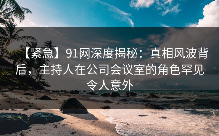 【紧急】91网深度揭秘:真相风波背后,主持人在公司会议室的角色罕见令人意外