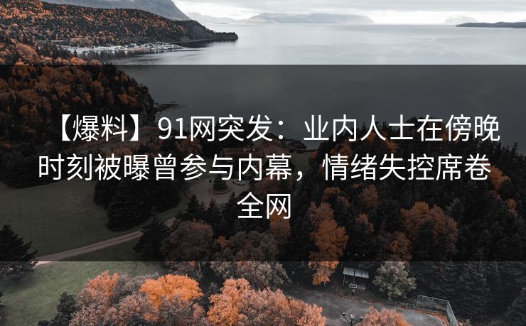 【爆料】91网突发:业内人士在傍晚时刻被曝曾参与内幕,情绪失控席卷全网