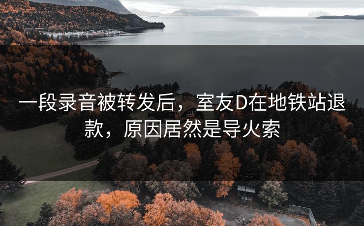 一段录音被转发后，室友D在地铁站退款，原因居然是导火索