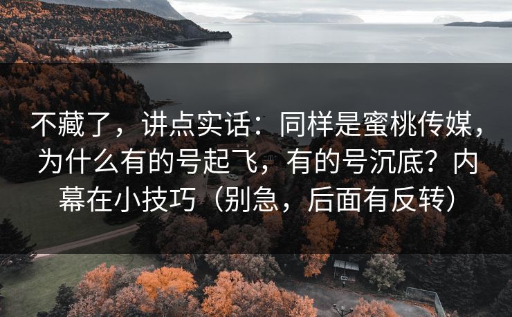 不藏了，讲点实话：同样是蜜桃传媒，为什么有的号起飞，有的号沉底？内幕在小技巧（别急，后面有反转）